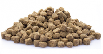 Brokken   005   adult active