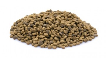 Brokken   150   premium puppy