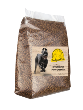 Goud puppy geperst plus